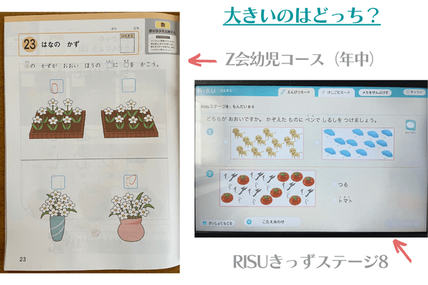 RISUきっずとZ会幼児コースの比較