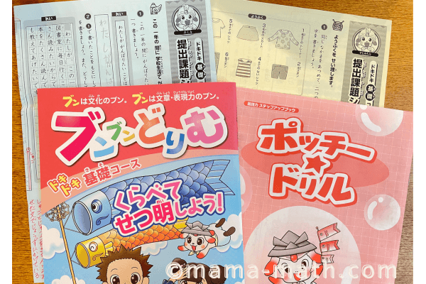 ブンブンどりむ先取りブログ！作文や読解に効果なしはウソ！ -