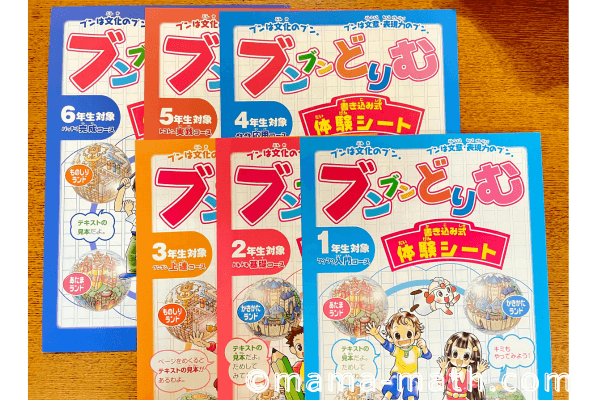 ブンブンどりむ先取りブログ！作文や読解に効果なしはウソ！ -